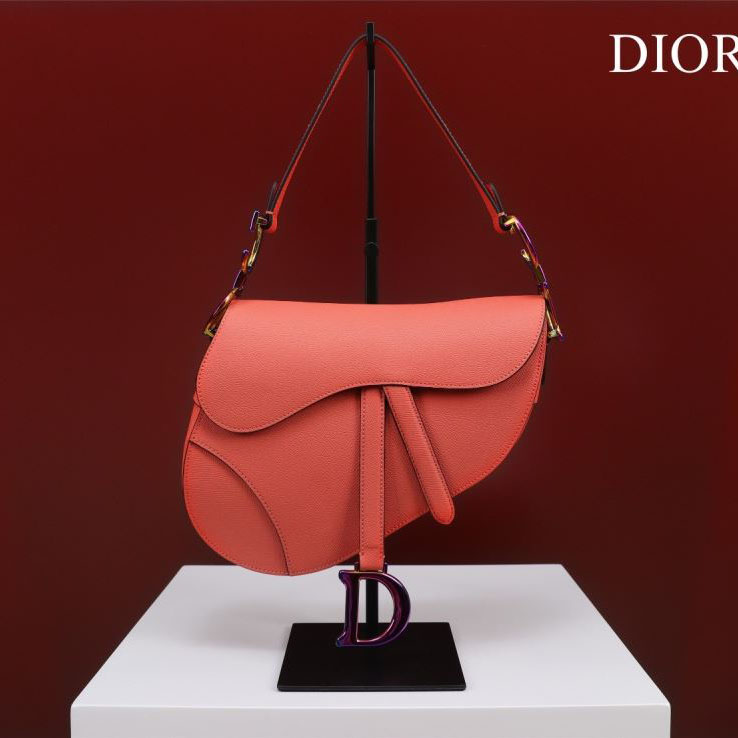 Christian Dior Saddle Bags - Click Image to Close